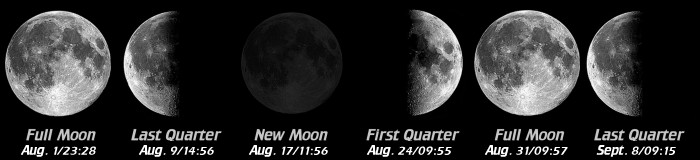 [Moon Phases]