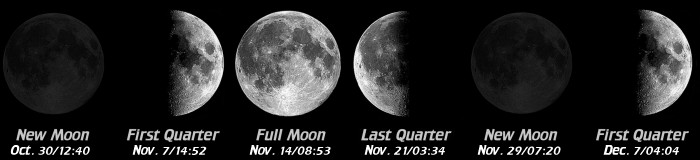 [Moon Phases]