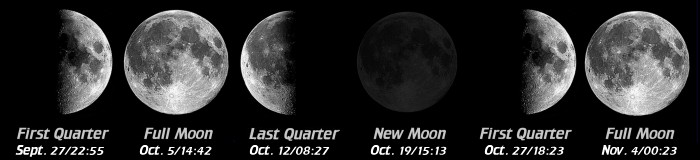 [Moon Phases]