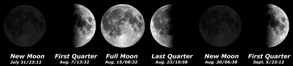 [Moon Phases]
