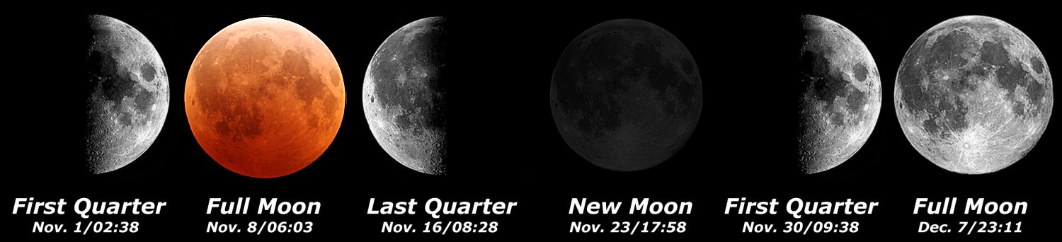 [Moon Phases]