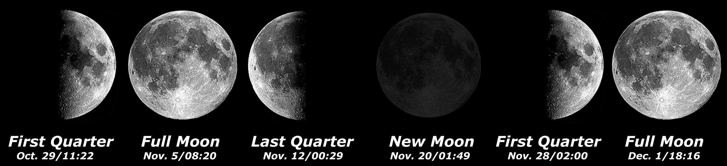 [Moon Phases]