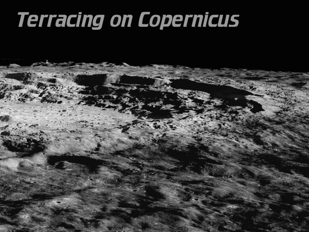 [Gary A. Becker Slide]