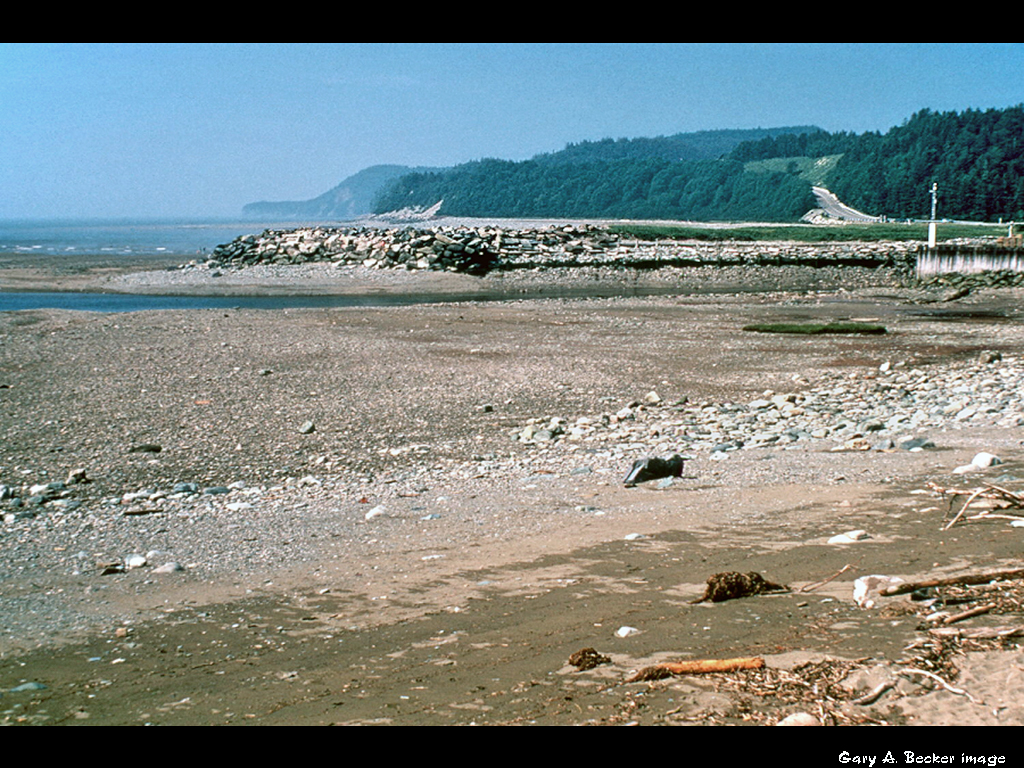 [Gary A. Becker Slide]