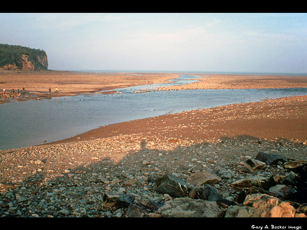 [Gary A. Becker Slide]