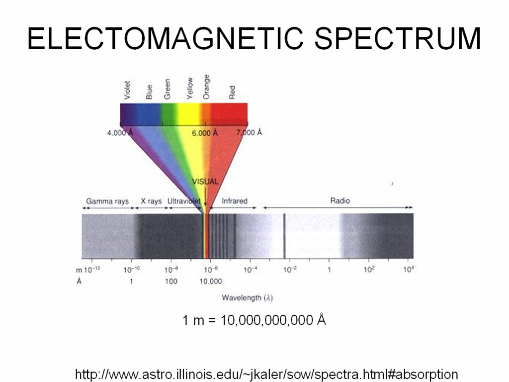 [Gary A. Becker Slide]