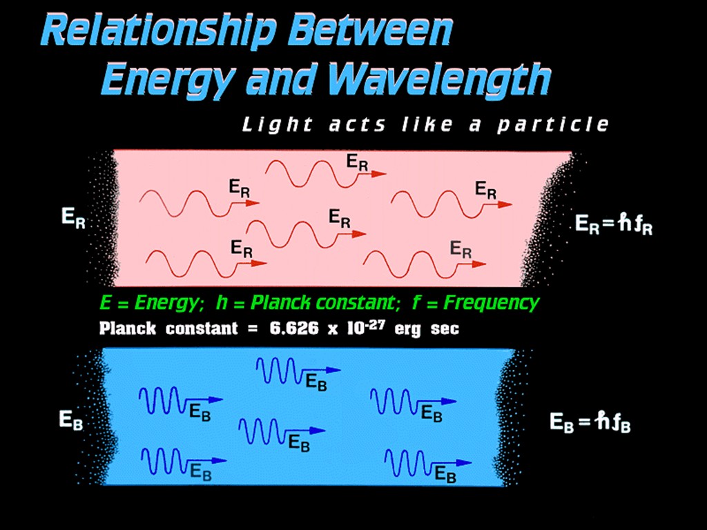 [Gary A. Becker Slide]