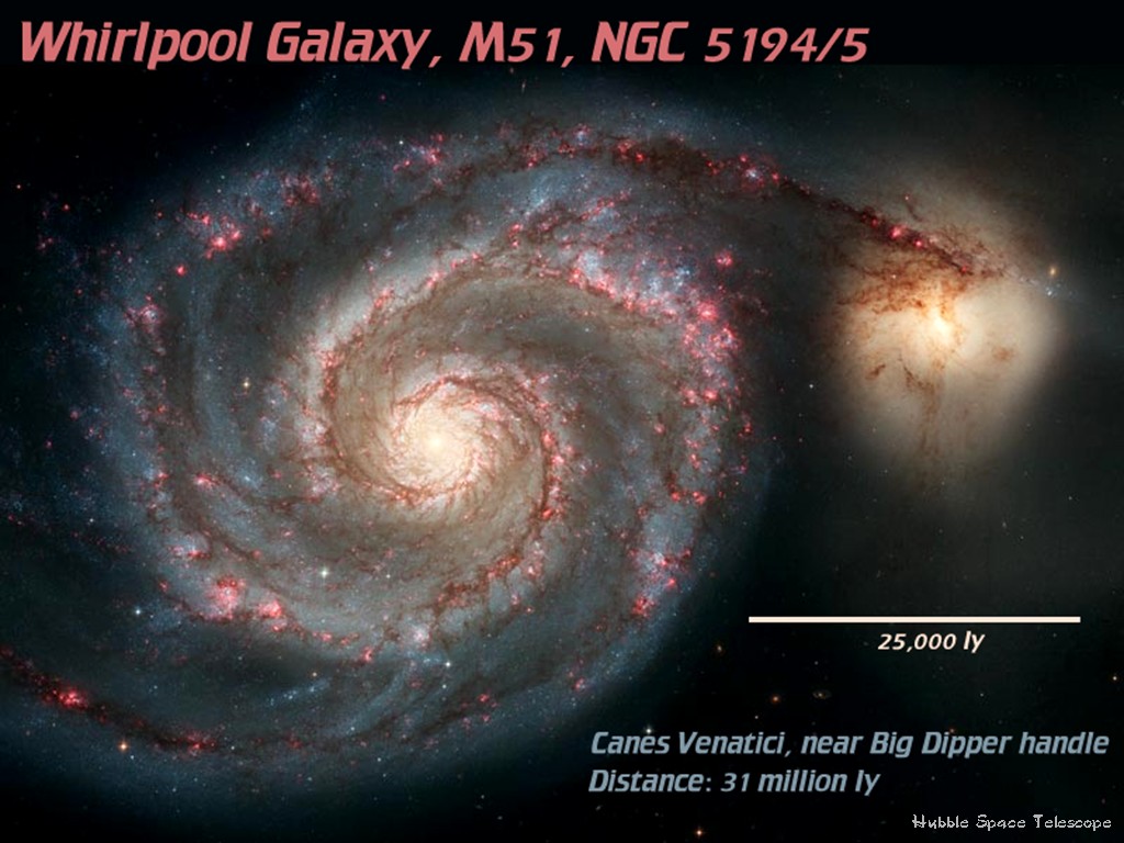 [Gary A. Becker Slide]