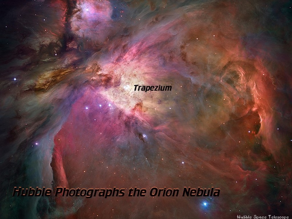 [Gary A. Becker Slide]