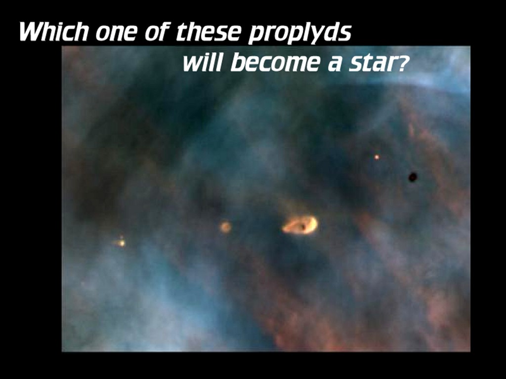 [Gary A. Becker Slide]