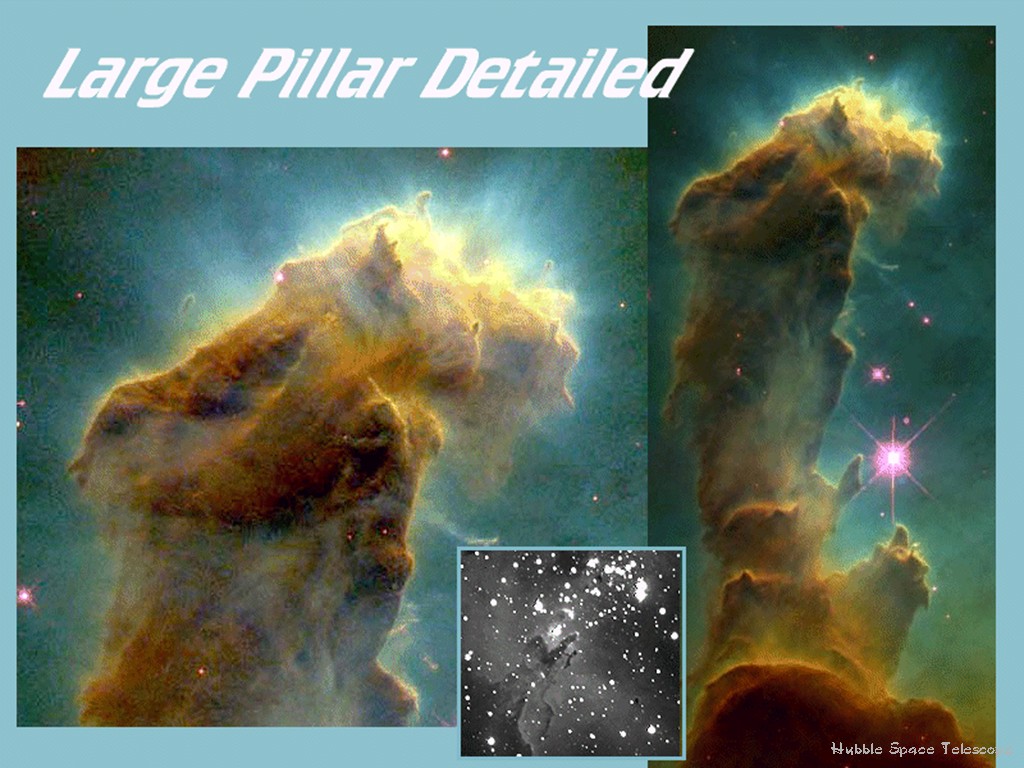 [Gary A. Becker Slide]