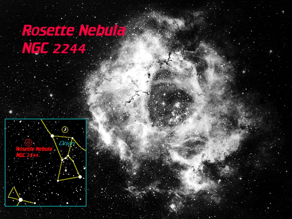 [Gary A. Becker Slide]
