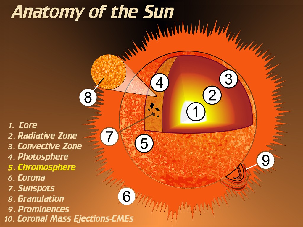 [Gary A. Becker Slide]