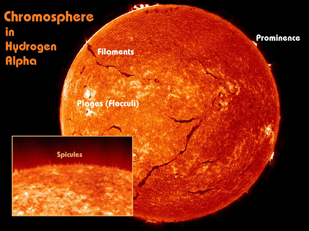 [Gary A. Becker Slide]