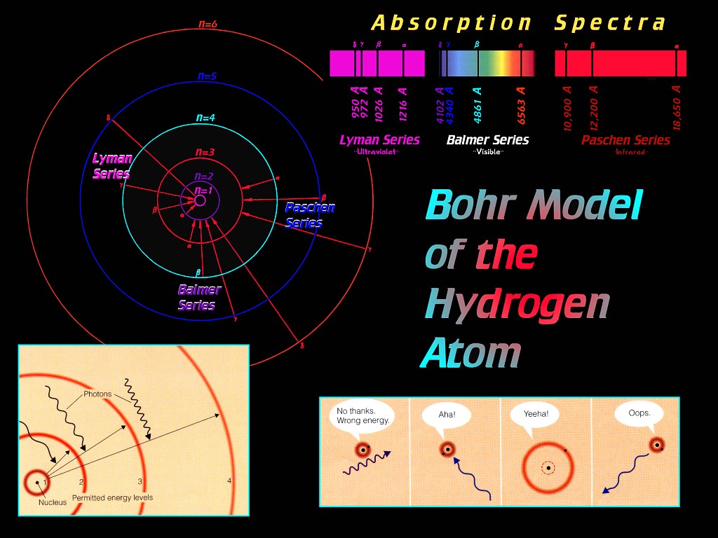 [Gary A. Becker Slide]