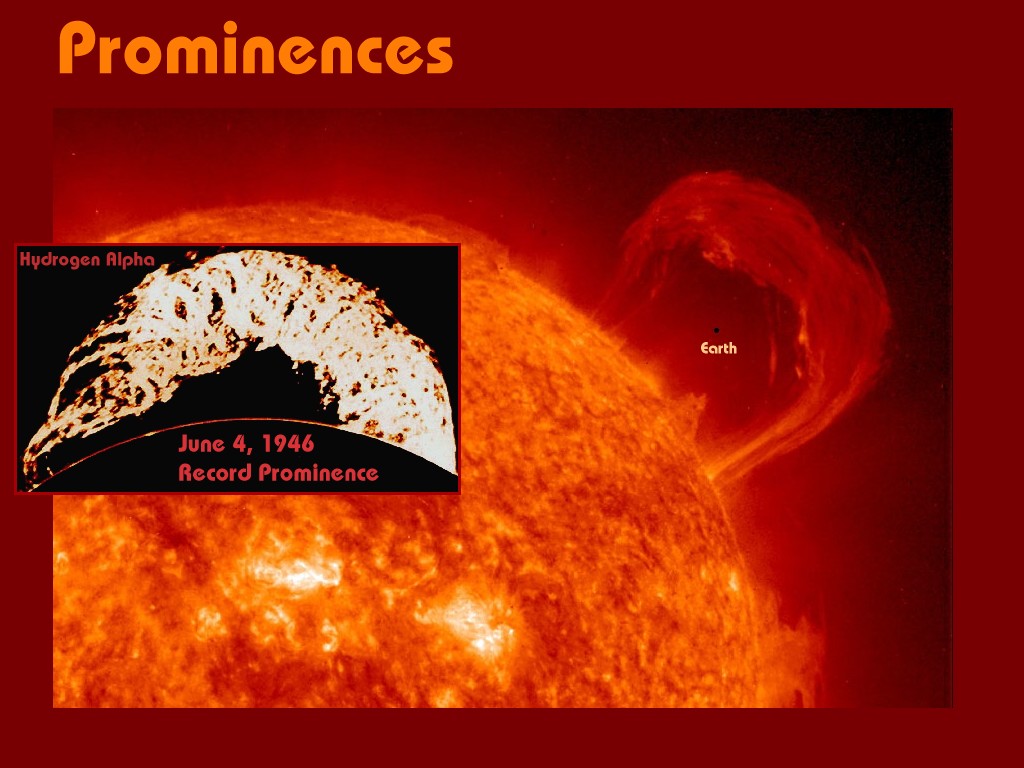 [Gary A. Becker Slide]