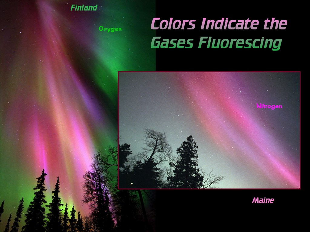 [Gary A. Becker Slide]